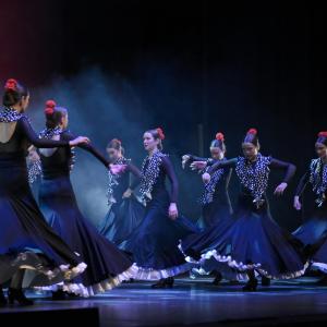 Fotografía de Talleres Danza Española (galería 2) - Conservatorio de Danza